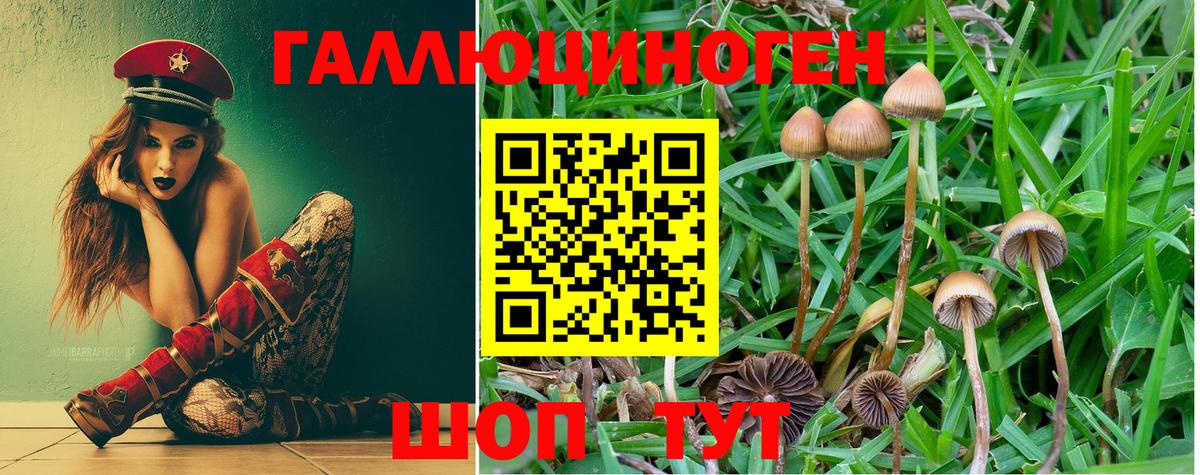 Соликамск  Галлюциногенные грибы Psilocybine cubensis  Вход с VPN  Галлюциногенные грибы прущие грибы 